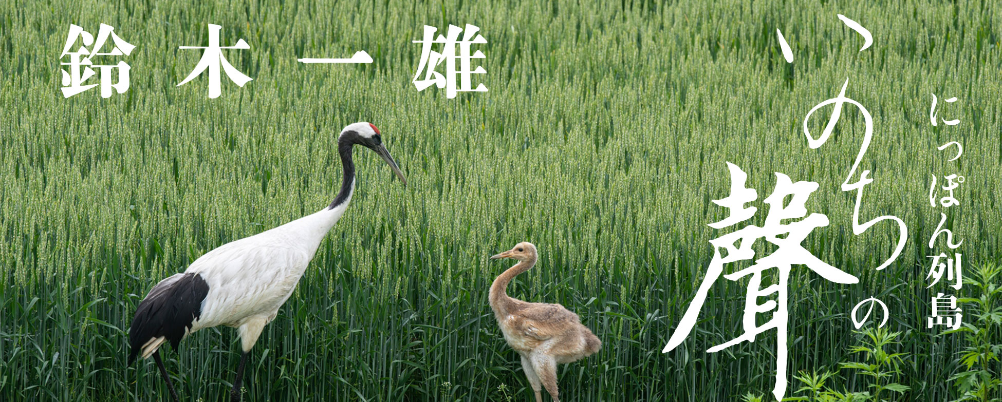 鈴木一雄写真集