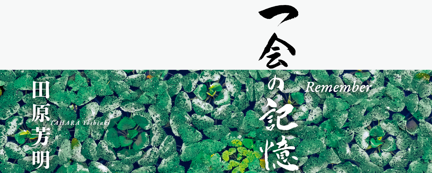 田原芳明写真集